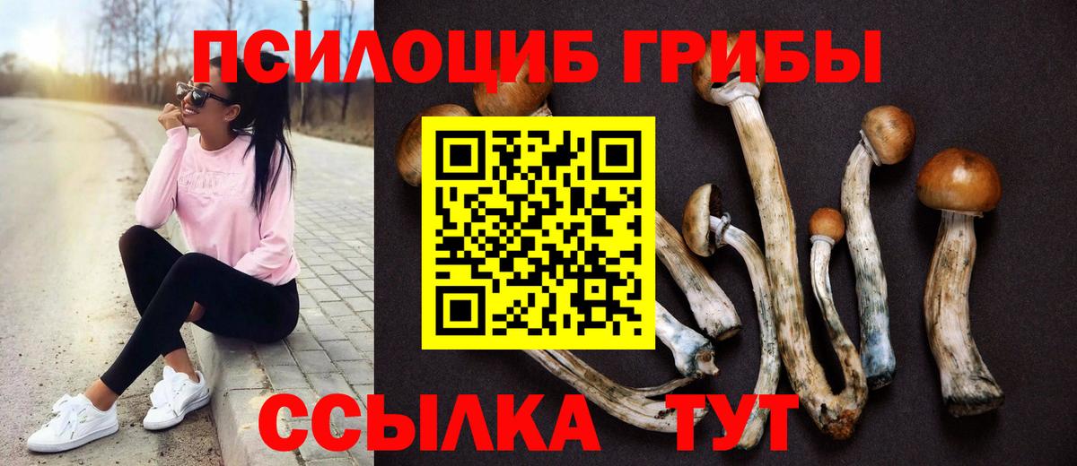 Хабаровск  Галлюциногенные грибы Cubensis  купить наркоту  Вход с VPN 