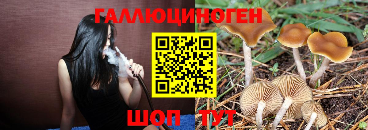 Галлюциногенные грибы MAGIC MUSHROOMS Хабаровск